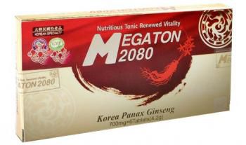 Megaton 2080